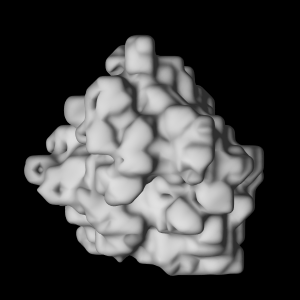 protein construction using surface marching cubes