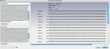 Sequence Alignments Tool