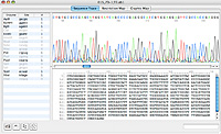 DNA Sequence trace display