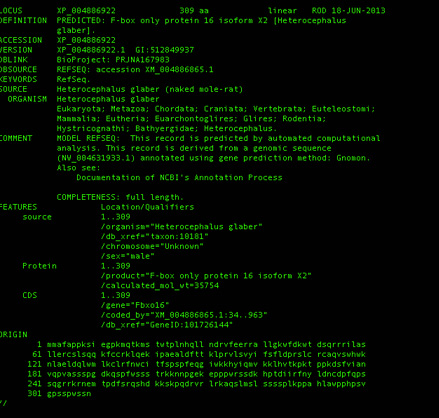 GeneCoder NCBI Protein Search