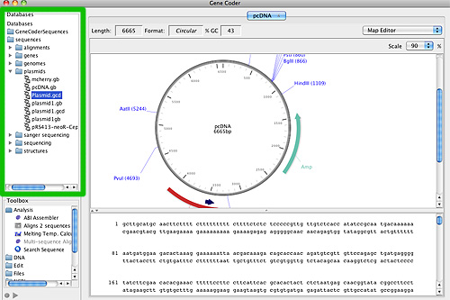 GeneCoder Sequence Database