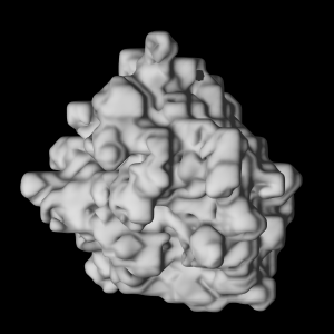 protein construction using surface marching cubes