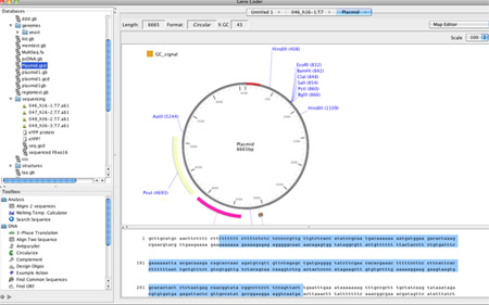 DNA Sequence Editor