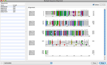 Sequence Alignments Tool