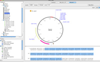 Sequence display and restriction site analysis