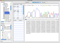 DNA Sequence trace display